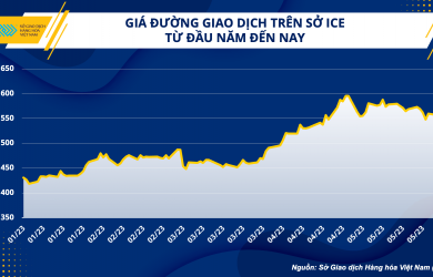 Ngành mía đường: Nắm bắt cơ hội, làm chủ thị trường nội địa