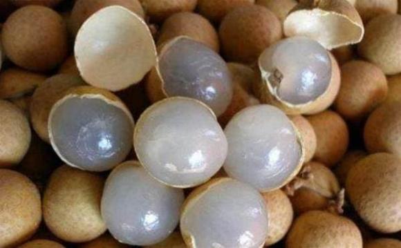 hoa quả, nhãn, xoài, dưa hấu